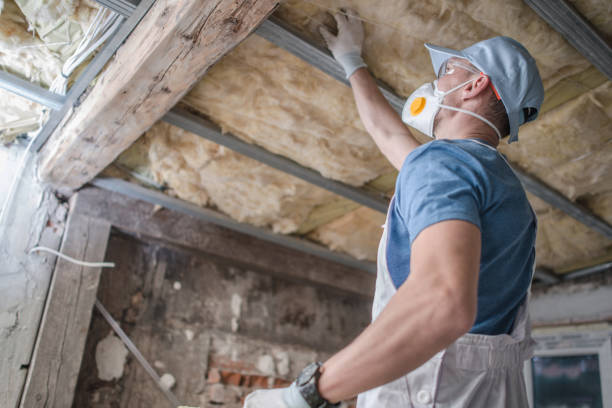 Best Insulation Installation Services in Fairview, GA